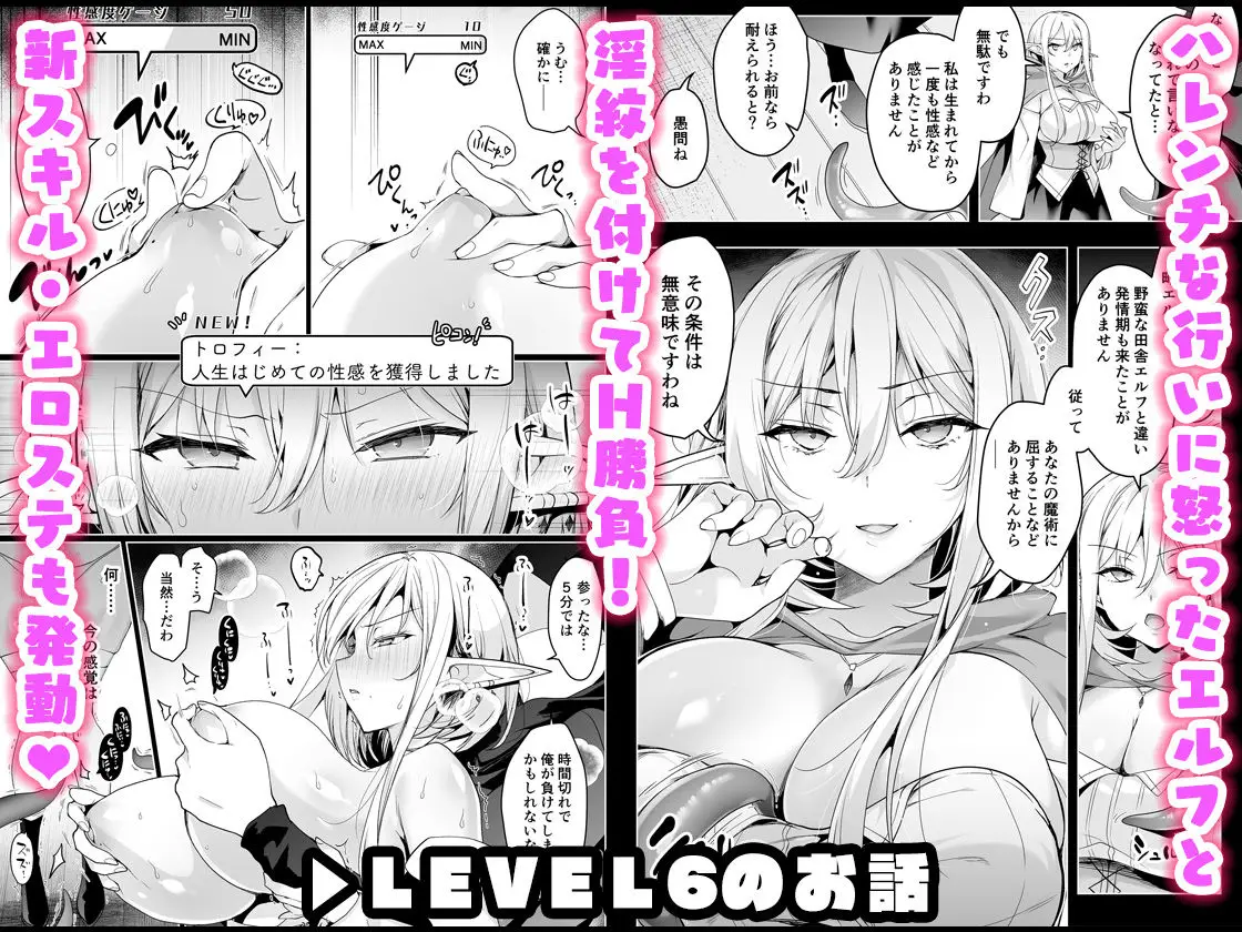 エルフに淫紋を付ける本 LEVEL:5〜8 総集編|にのこや